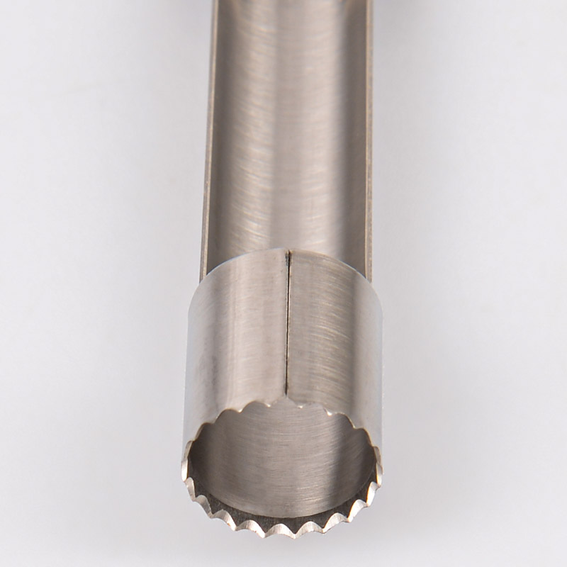 Dazkzooy Vide-pomme Avec Poignée En ABS Et Lame Dentelée En Acier